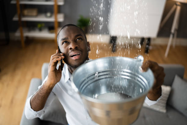 Best Emergency water damage restoration  in Laingsburg, MI