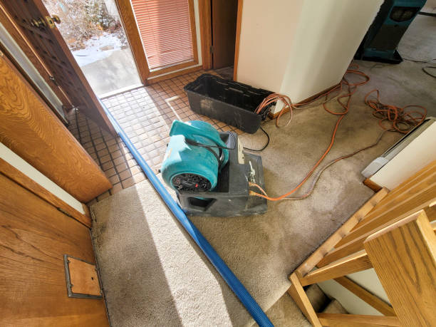 Best Flood restoration services  in Laingsburg, MI
