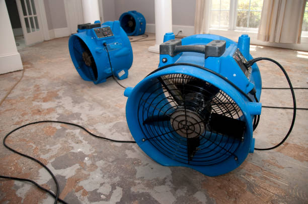 Local water damage restoration in MI