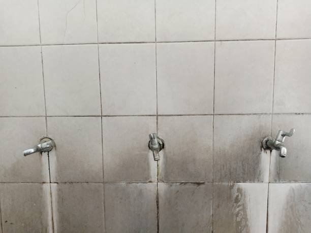 Best Flooded house restoration  in Laingsburg, MI