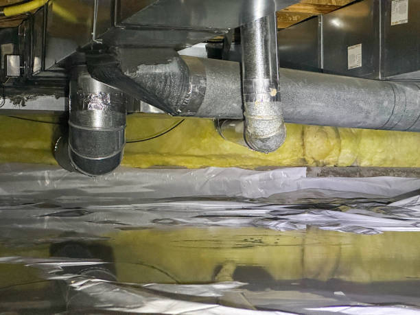 Best Water damage cleanup near me  in Laingsburg, MI