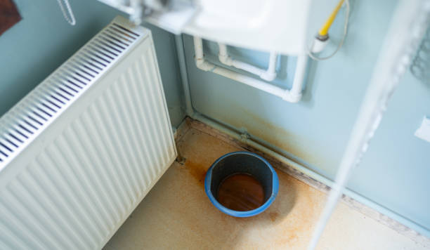 Best Water damage restoration near me  in Laingsburg, MI