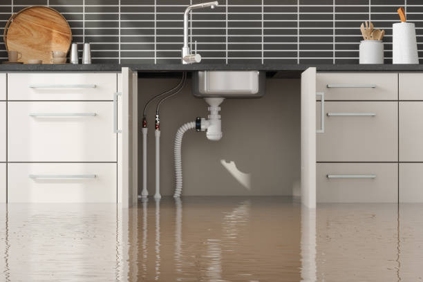 Best Water damage restoration near me  in Laingsburg, MI