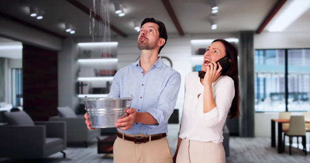Best Residential water damage restoration  in Laingsburg, MI