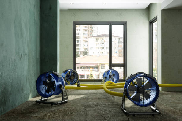 Best Carpet water damage restoration  in Laingsburg, MI