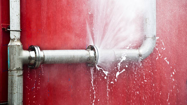Best Fire Damage Restoration  in Laingsburg, MI